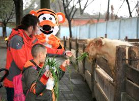 Chengdu Zoo
